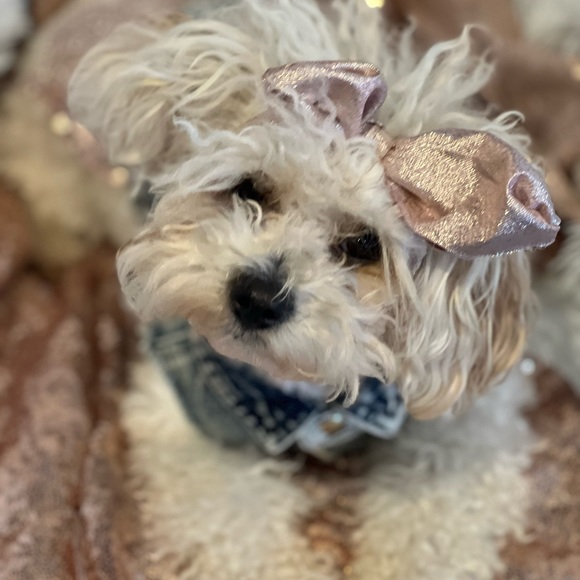 ๐ณ๐ฐ๐ฝ๐ฌ ๐ณ๐ฐ๐บ๐ป๐ฐ๐ต๐ฎ ๐ต๐ถ๐ป๐ฐ๐ญ๐ฐ๐ช๐จ๐ป๐ฐ๐ถ๐ต ! ๐จ๐จ - Picture 3 of 6